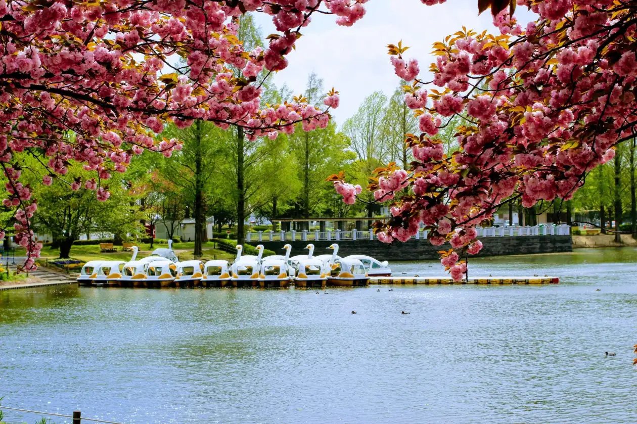 🏞️ 카와고에 공원(카와고에 코엔) 이미지 8